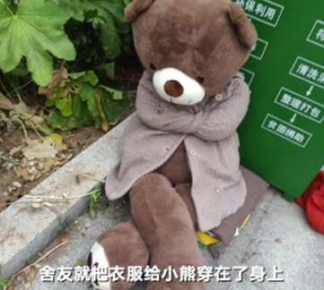 【暖心】医学院被遗弃的小熊 被遗弃的小熊为何走红