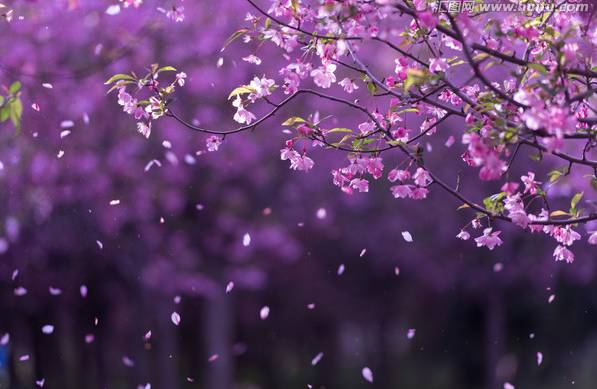 贡方堂分享春季养生六要素  助力你的春季健康